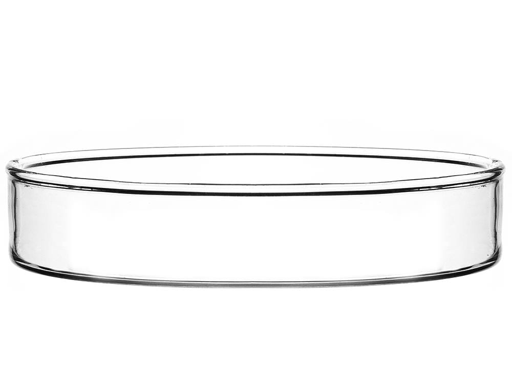 AQG karmidełko szklane 5,5CM dla krewetek